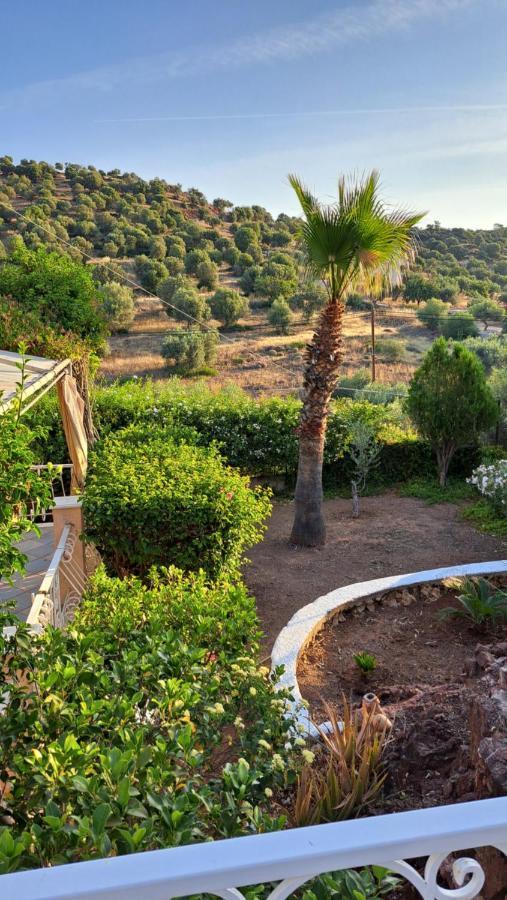 Βlueview Villa Hermione Buitenkant foto