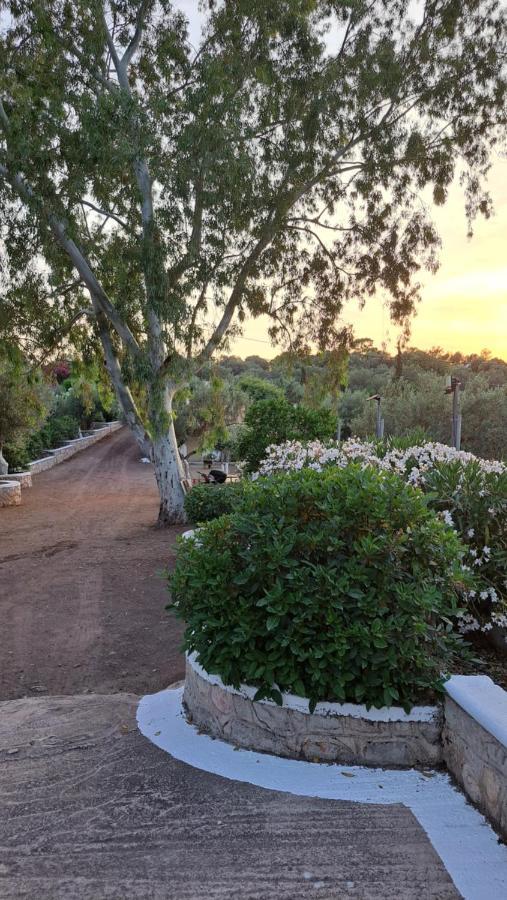 Βlueview Villa Hermione Buitenkant foto