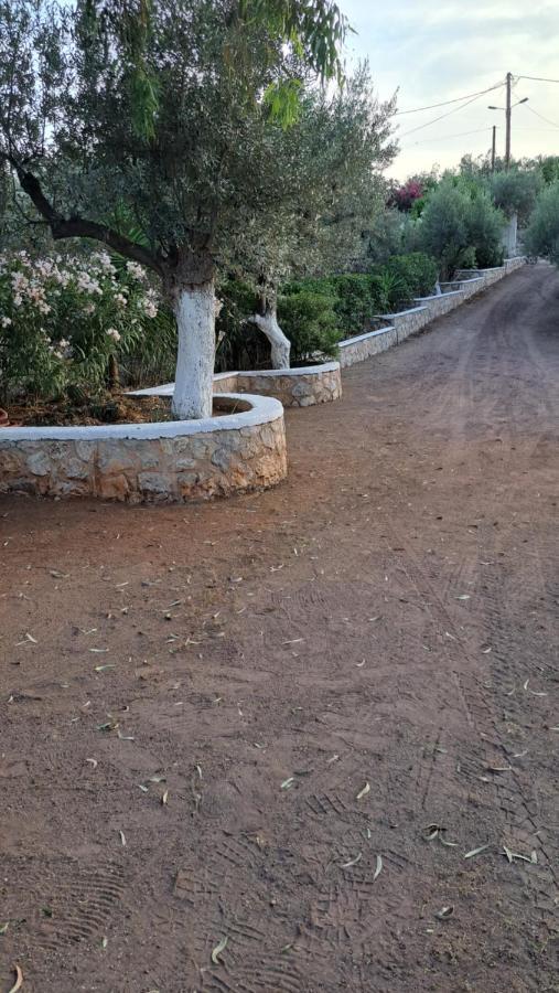 Βlueview Villa Hermione Buitenkant foto