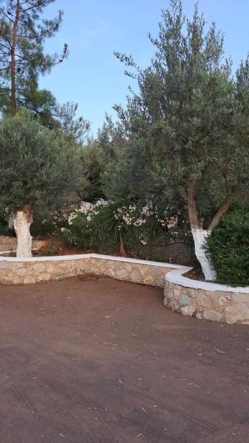 Βlueview Villa Hermione Buitenkant foto