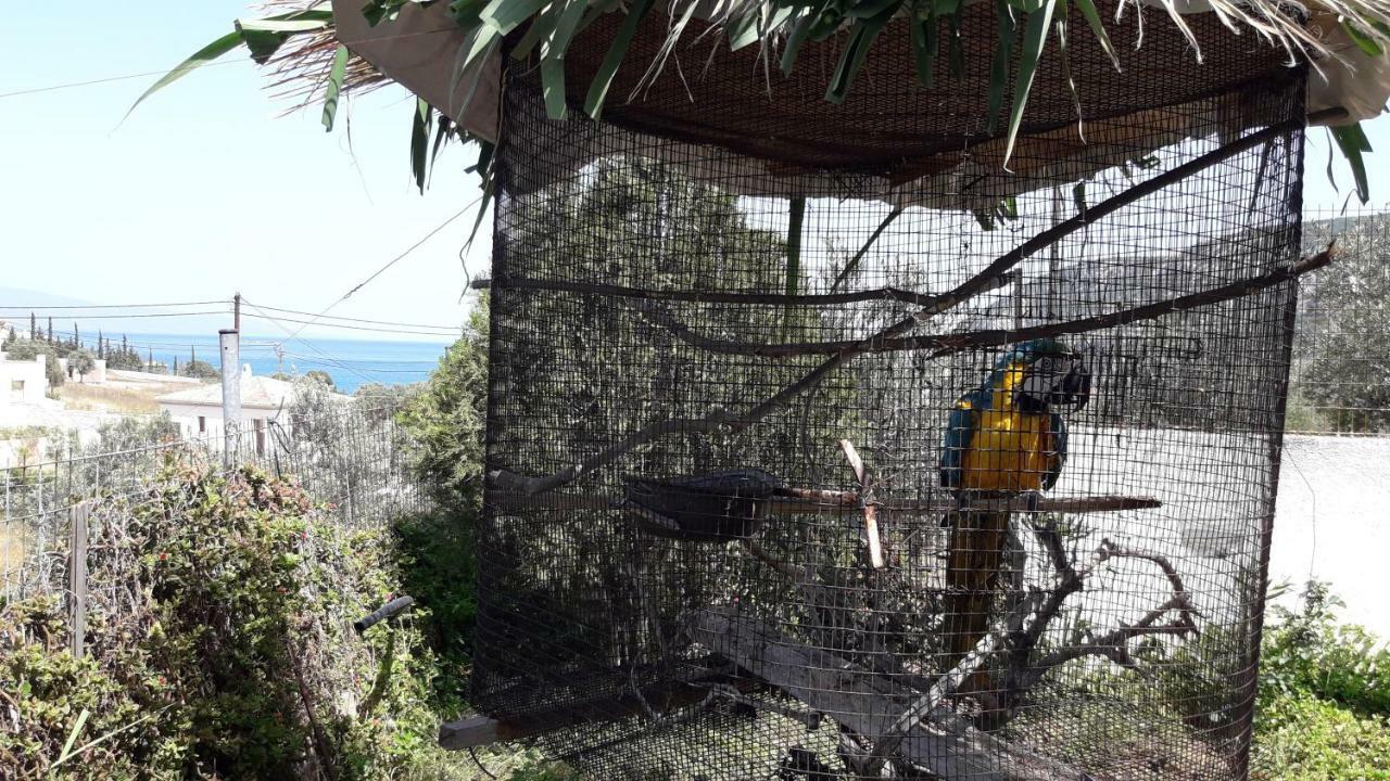 Βlueview Villa Hermione Buitenkant foto